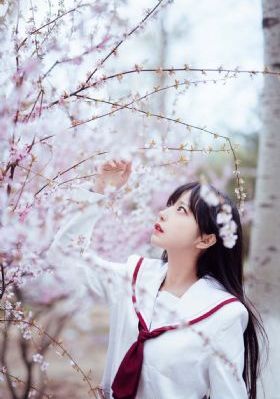 芭乐草在线精品视频观看_高清完整版高清视频观看
